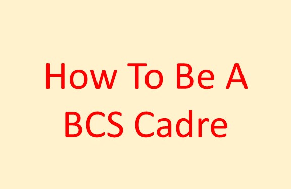 how to be a bcs cadre