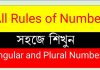 Number পরিবর্তন এর নিয়ম singular and plural number পরিবর্তন করার নিয়ম