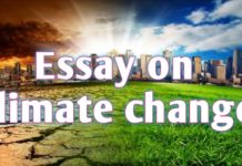 essay on climate change in 250 words| climate change essay for students