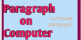 Computer paragraph| Paragraph on computer |