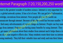 Internet Paragraph | 100,120,150,200, 250,300 words |Paragraph on internet for hsc| internet paragraph
